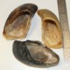 Cows Hooves Pet Treats