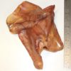 Pigs Ears Pet Treats