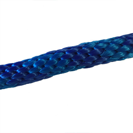Rope Lead: Blue