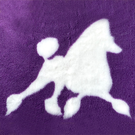 Poodle Running on Purple VetBed Square
