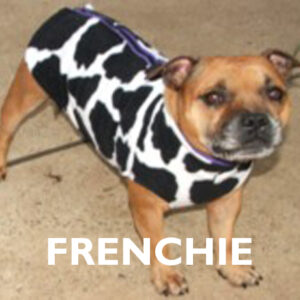 Frenchie Already Made Polar Fleece Vest Coats