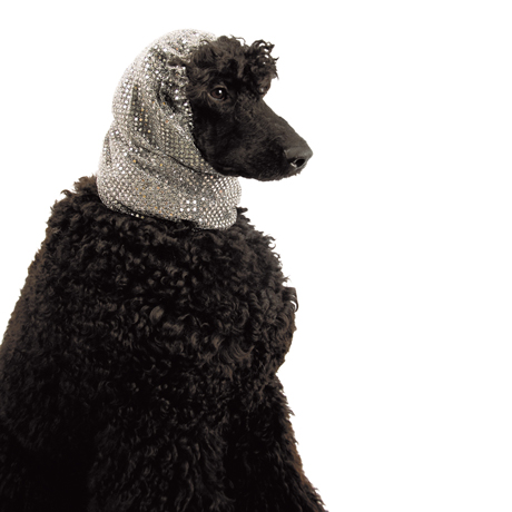Show Tech Snood Luxe Fancy Ear Covers For Dogs Silver